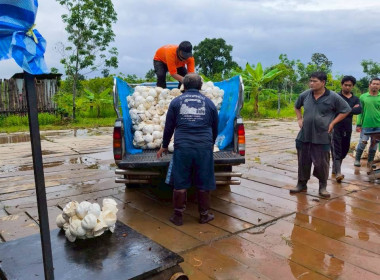 ติดตามการดำเนินธุรกิจรวบรวมผลผลิต (ยางพาราก้อนถ้วย) ... พารามิเตอร์รูปภาพ 4